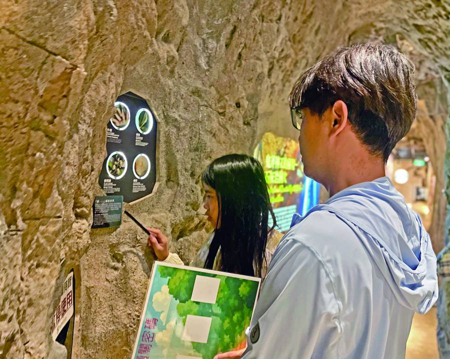 聖誕到元旦、植感lifestyle